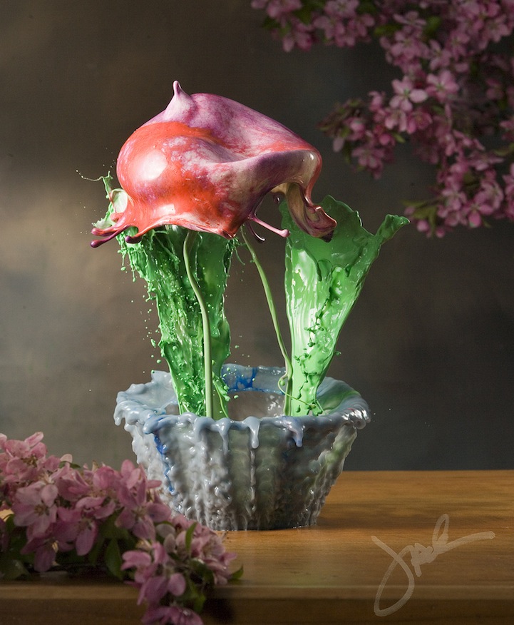 Фотография: Жидкие комнатные цветы №6 - BigPicture.ru