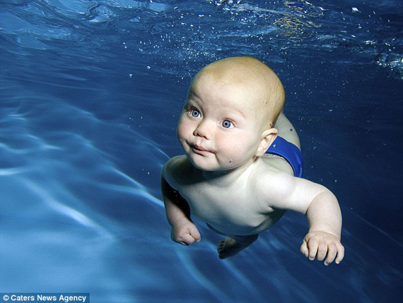 Фотография: Малыши под водой №5 - BigPicture.ru