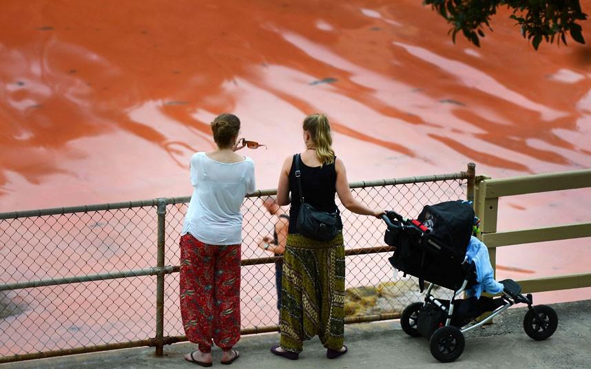 Фотография: Вода на пляжах Австралии окрасилась кроваво-красным, напугав отдыхающих №5 - BigPicture.ru