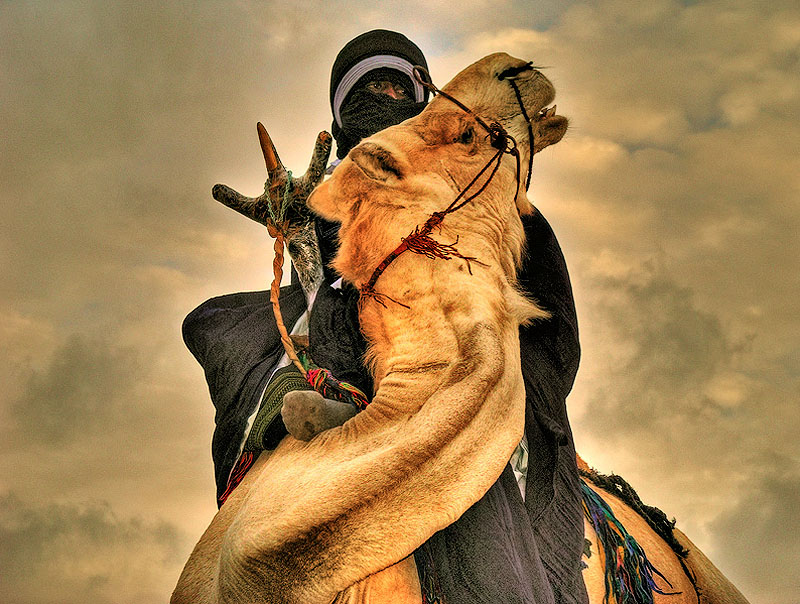 Фотография: Ливийская пустыня Башара Шглила №9 - BigPicture.ru