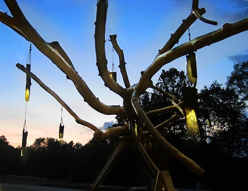 Фотография: Качели из 30-метрового дерева №8 - BigPicture.ru