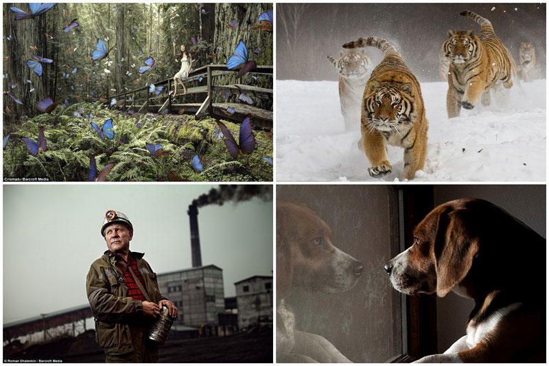 Фотография: Фотоконкурс Sony World Photography Awards №1 - BigPicture.ru