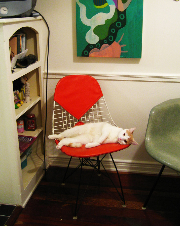 Фотография: Кошки любят дизайнерскую мебель №8 - BigPicture.ru