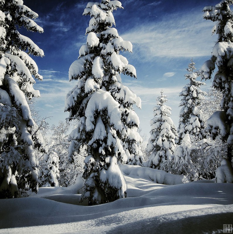 Великолепные снежные пейзажи » BigPicture.ru
