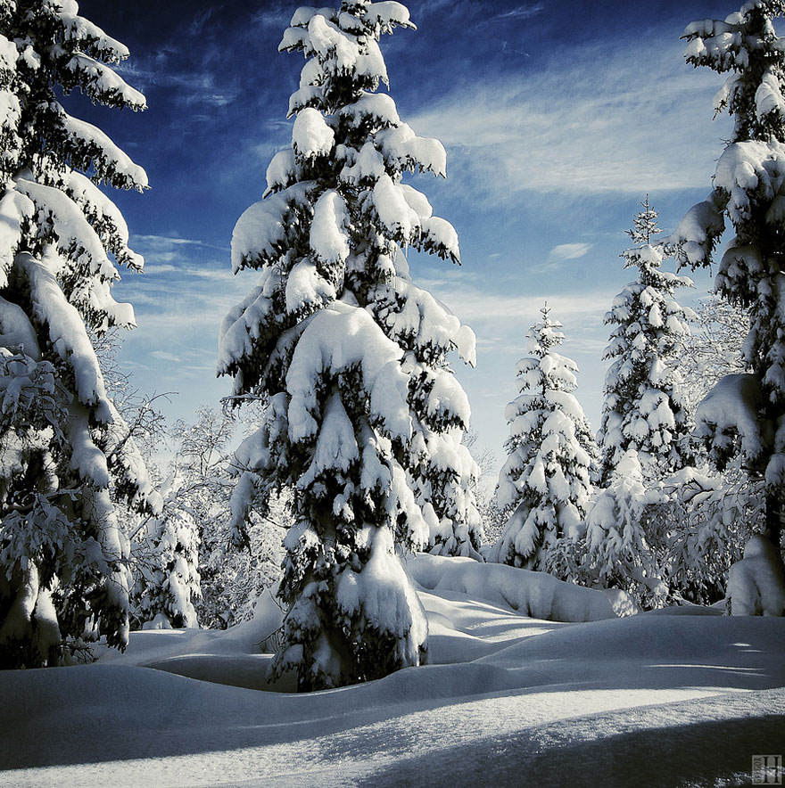 Фотография: Великолепные снежные пейзажи №13 - BigPicture.ru
