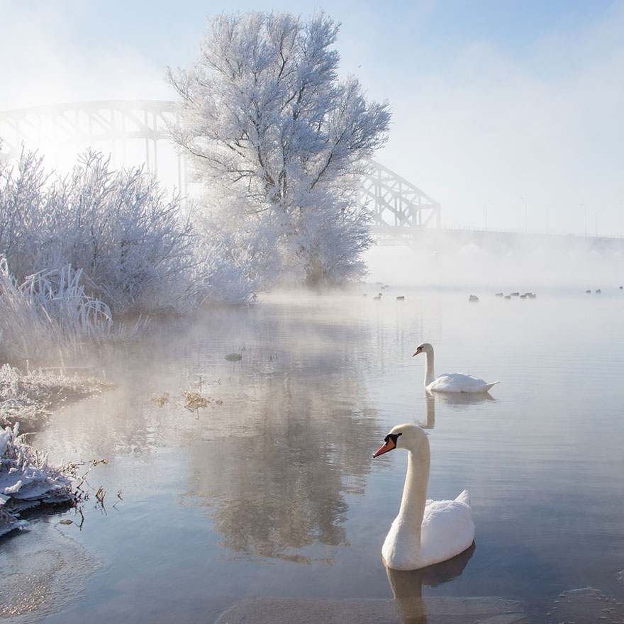 Фотография: Великолепные снежные пейзажи №18 - BigPicture.ru