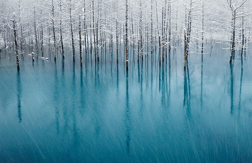 Фотография: Великолепные снежные пейзажи №3 - BigPicture.ru