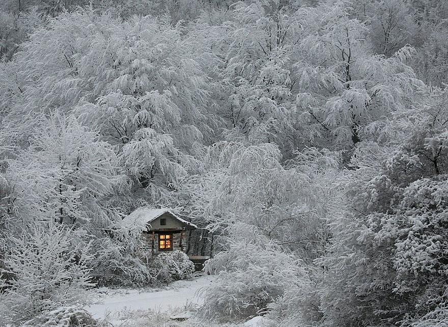 Фотография: Великолепные снежные пейзажи №6 - BigPicture.ru
