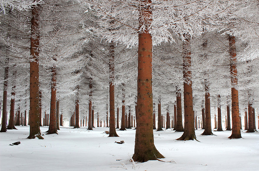 Фотография: Великолепные снежные пейзажи №8 - BigPicture.ru