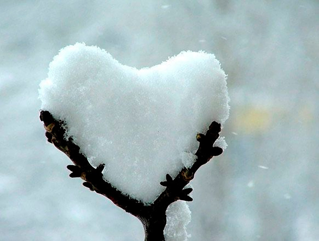 Фотография: Ко дню Святого Валентина: Сердца, всюду сердца! №35 - BigPicture.ru