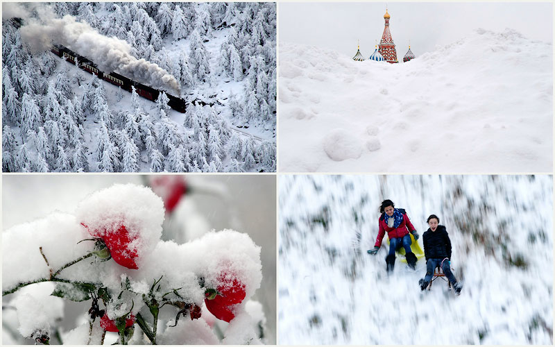 Фотография: Снежный декабрь №1 - BigPicture.ru
