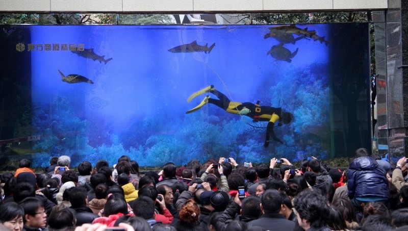 Фотография: В китайском торговом центре лопнул гигантский аквариум №1 - BigPicture.ru