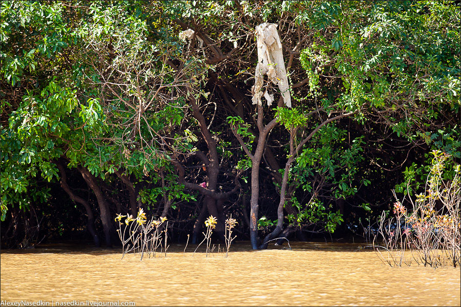 Фотография: Жизнь на озере Тонлесап в Камбодже №30 - BigPicture.ru