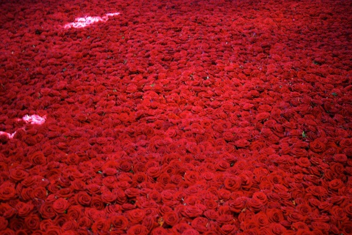 Фотография: Жизнь и смерть 10 000 роз №3 - BigPicture.ru
