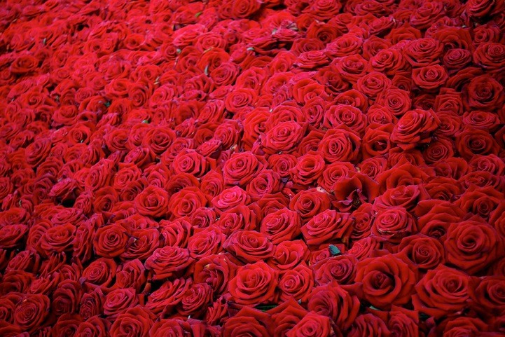Фотография: Жизнь и смерть 10 000 роз №4 - BigPicture.ru