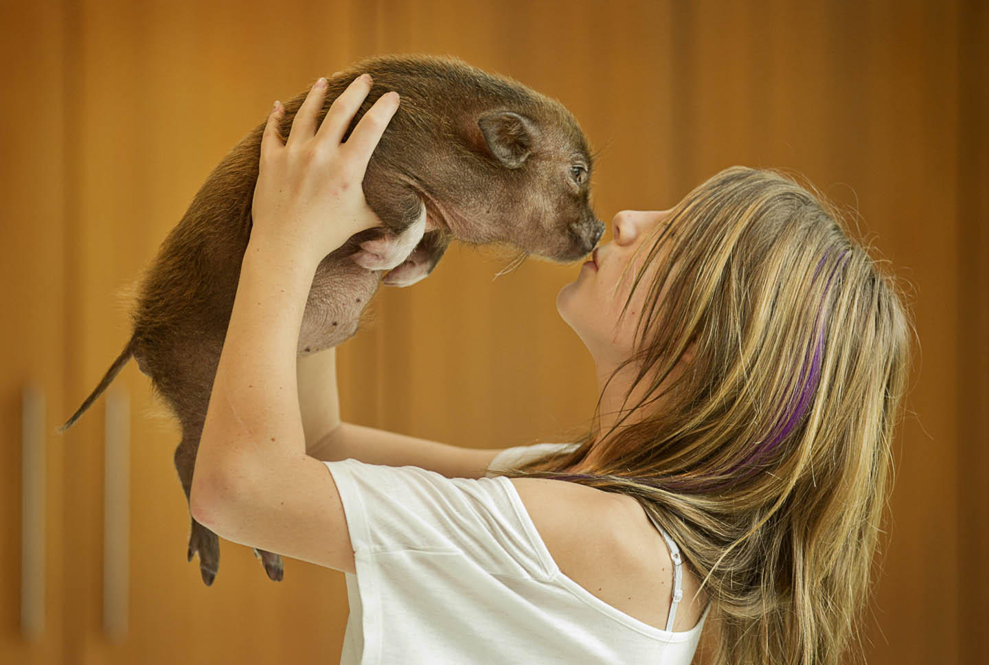 Фотография: Большая любовь для миниатюрной свинки №2 - BigPicture.ru