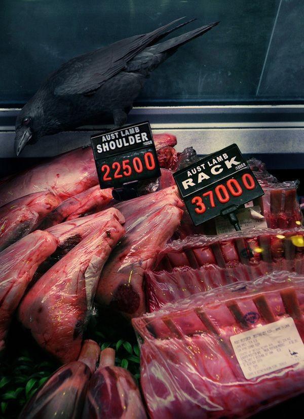Фотография: Животные в супермаркете №8 - BigPicture.ru