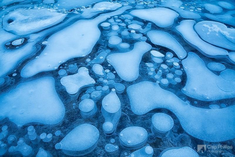 Фотография: Замерзшие пузырьки воздуха в озере №8 - BigPicture.ru
