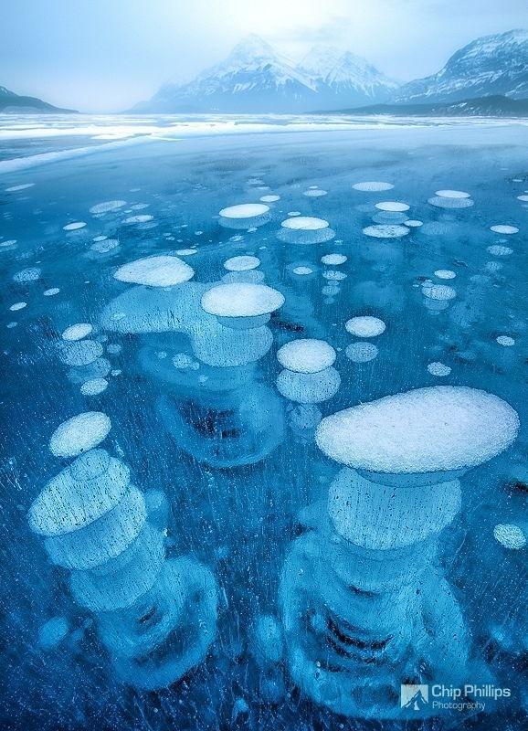 Фотография: Замерзшие пузырьки воздуха в озере №11 - BigPicture.ru