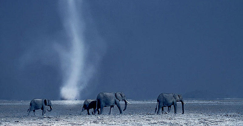 Фотография: Африка Дэвида Аттенборо №1 - BigPicture.ru