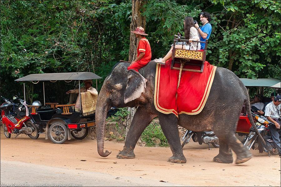 Фотография: Ангкор: Обыкновенное чудо или просто визитка Камбоджи №16 - BigPicture.ru