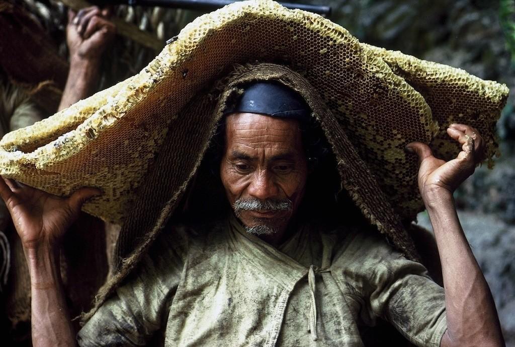 Фотография: Собиратели меда в Непале №5 - BigPicture.ru