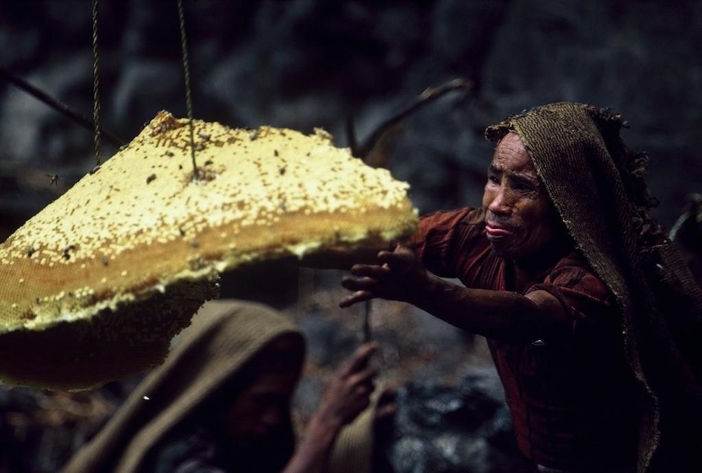 Фотография: Собиратели меда в Непале №7 - BigPicture.ru