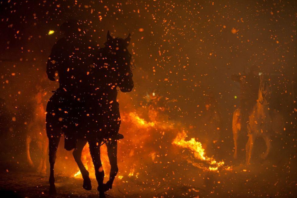 Фотография: Огненный фестиваль Las Luminarias №6 - BigPicture.ru