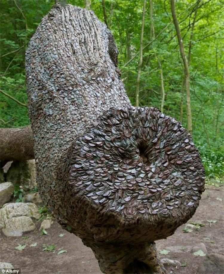 Фотография: Монетные деревья в Англии №2 - BigPicture.ru