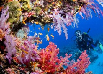 10 фактов о Красном море