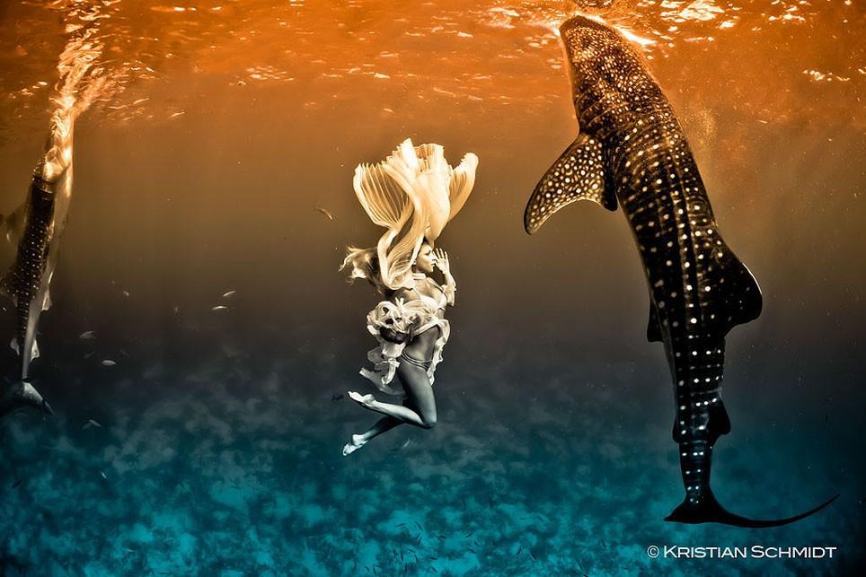 Фотография: Эффектная подводная фэшн-съемка с китовой акулой №5 - BigPicture.ru