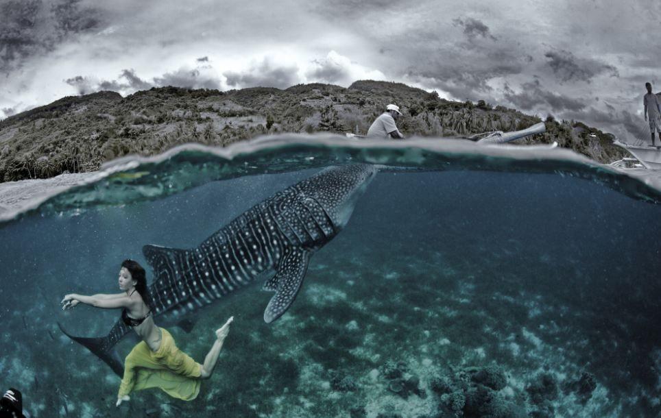 Фотография: Эффектная подводная фэшн-съемка с китовой акулой №9 - BigPicture.ru