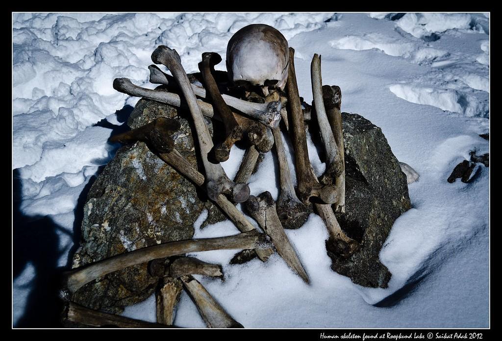 Фотография: Озеро скелетов Роопкунд в Индии №2 - BigPicture.ru