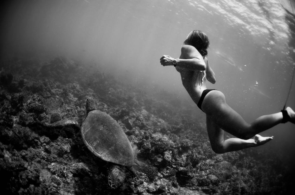 Фотография: Под водой с Микой Камара №3 - BigPicture.ru