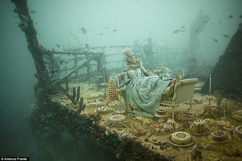 Фотография: Невероятная подводная фотогалерея Андреаса Франке №5 - BigPicture.ru