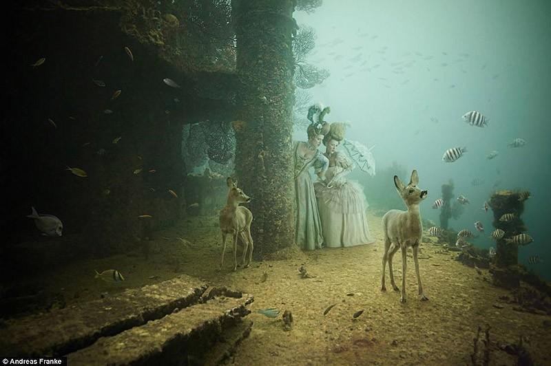 Фотография: Невероятная подводная фотогалерея Андреаса Франке №8 - BigPicture.ru
