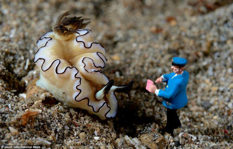 Фотография: Веселые креативные сцены в подводных миниатюрах №5 - BigPicture.ru