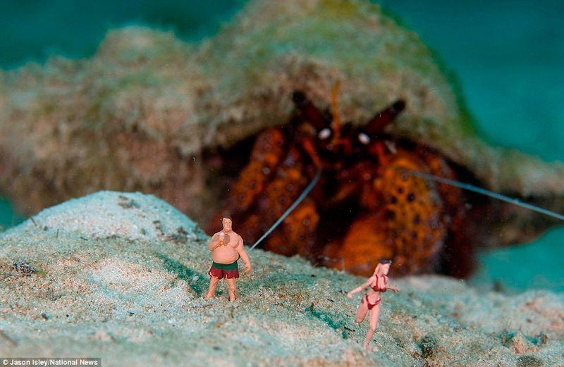 Фотография: Веселые креативные сцены в подводных миниатюрах №11 - BigPicture.ru
