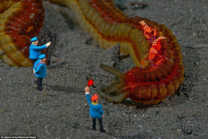 Фотография: Веселые креативные сцены в подводных миниатюрах №20 - BigPicture.ru
