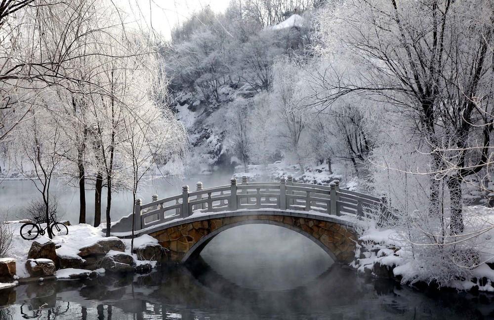Красота зимы фото