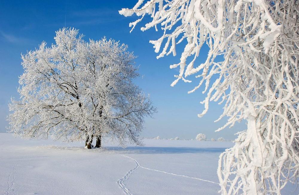 Красота зимы фото