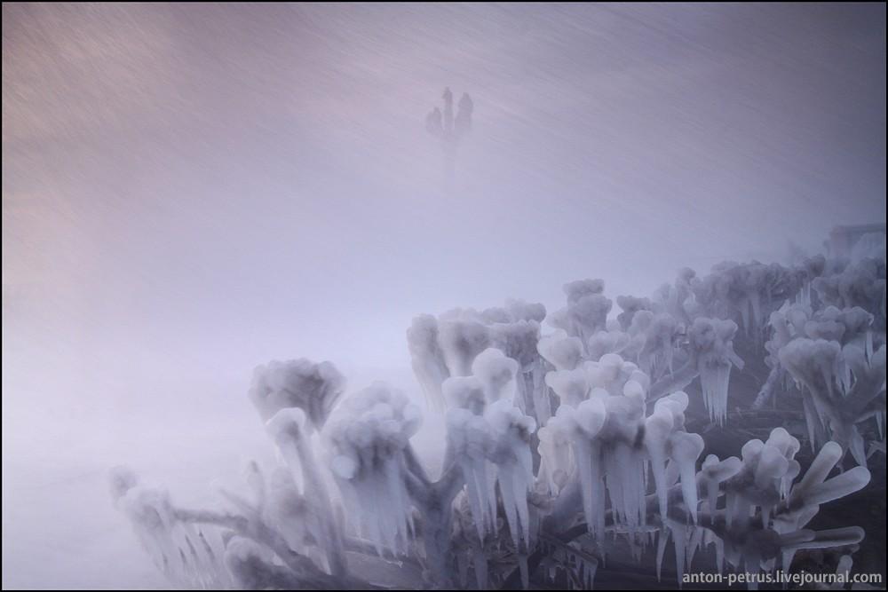 Фотография: Сосули или ледяной рассвет №9 - BigPicture.ru