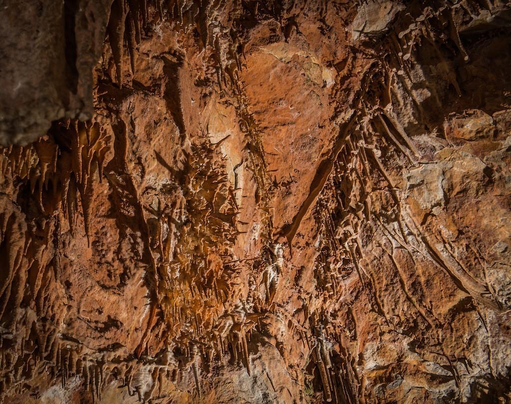 Фотография: Болгария: Пещера Съева дупка №24 - BigPicture.ru