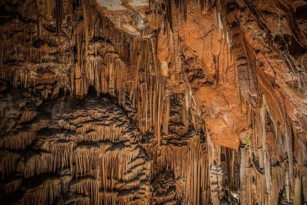 Фотография: Болгария: Пещера Съева дупка №33 - BigPicture.ru