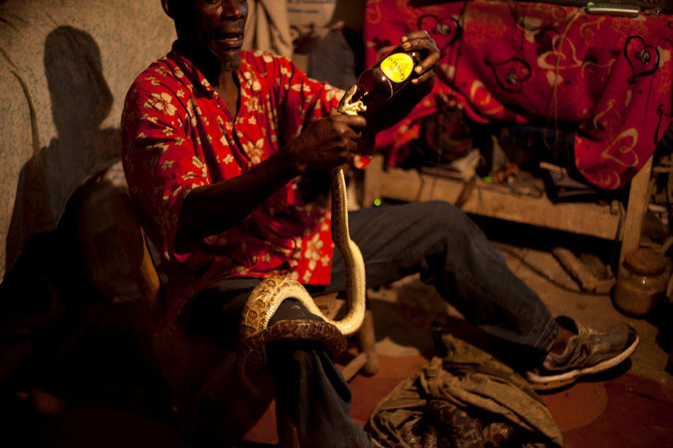 Фотография: Рабочие будни заклинателя змей на Гаити №5 - BigPicture.ru