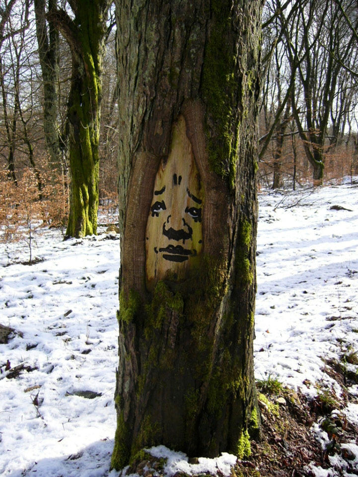Фотография: Забавные лица в лесу №3 - BigPicture.ru