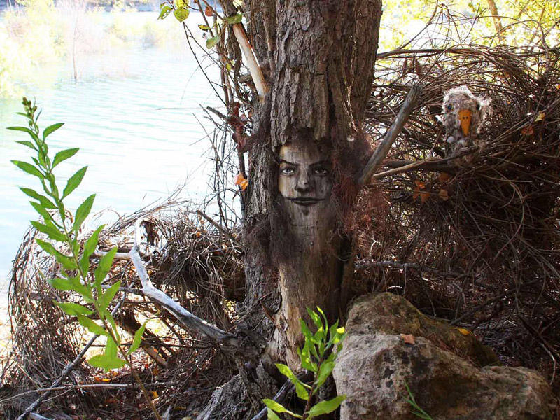 Фотография: Забавные лица в лесу №4 - BigPicture.ru