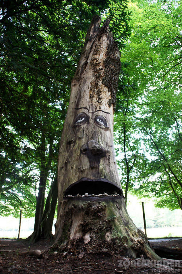 Фотография: Забавные лица в лесу №15 - BigPicture.ru