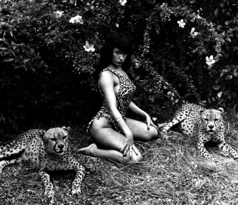 Фотография: Бетти Пейдж — секс-символ 50-х — и ее последовательницы №6 - BigPicture.ru