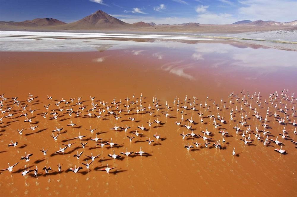 10 потрясающих видов на пустыни с воздуха 